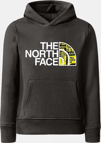 The North Face Boys Drew Peak Pullover Hoodie - Asphalt Grey